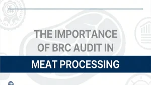 Cover image for a blog on BRC audit preparation, featuring Woneclean’s Hygiene Stations and Foam Cleaning Systems, emphasizing their role in improving sanitation and compliance in meat processing plants.
