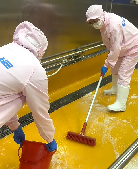 manual food processing cleaning
